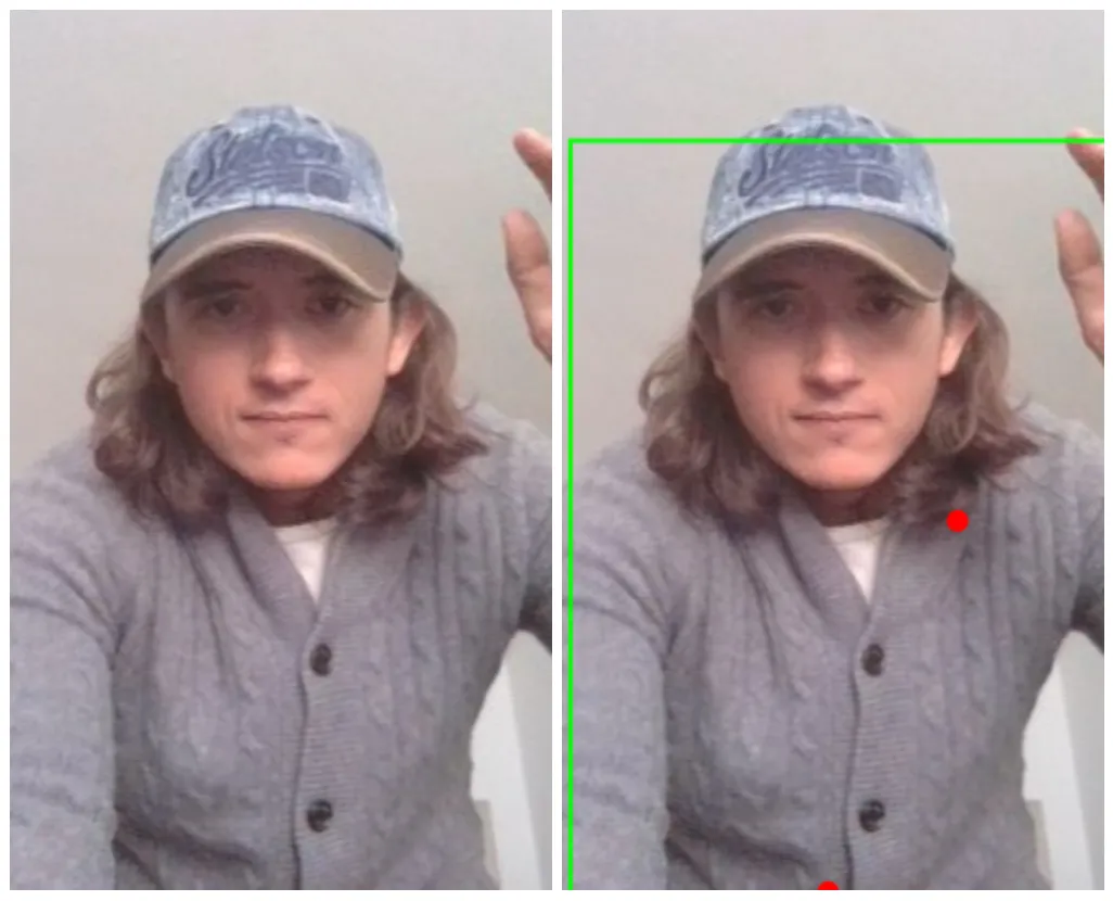 Original image next to original image with predictions misplaced