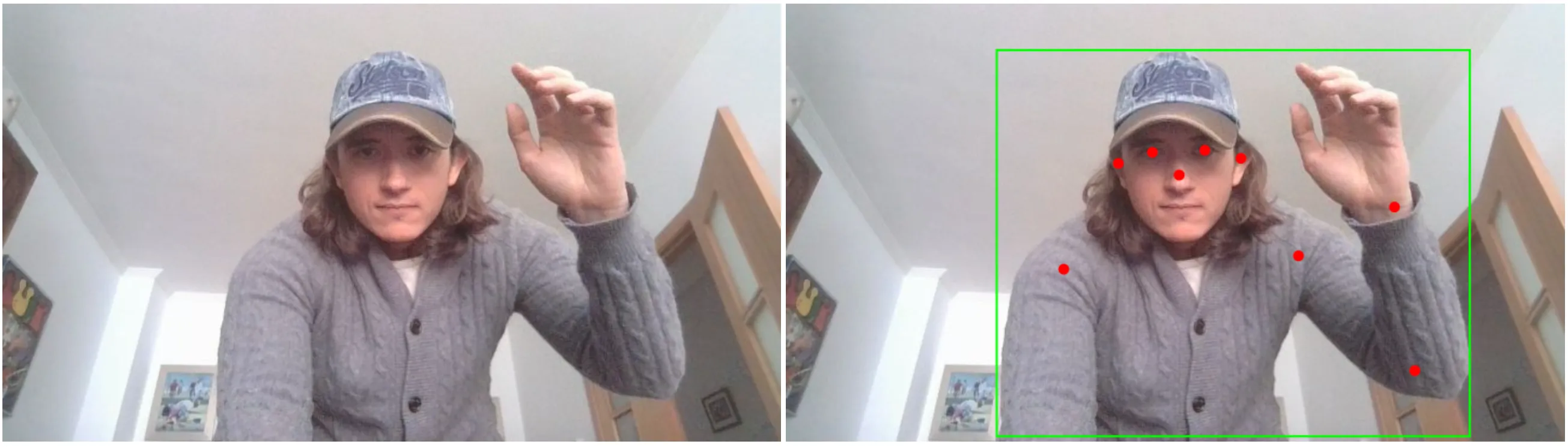 Original wide image next to prediction scaled