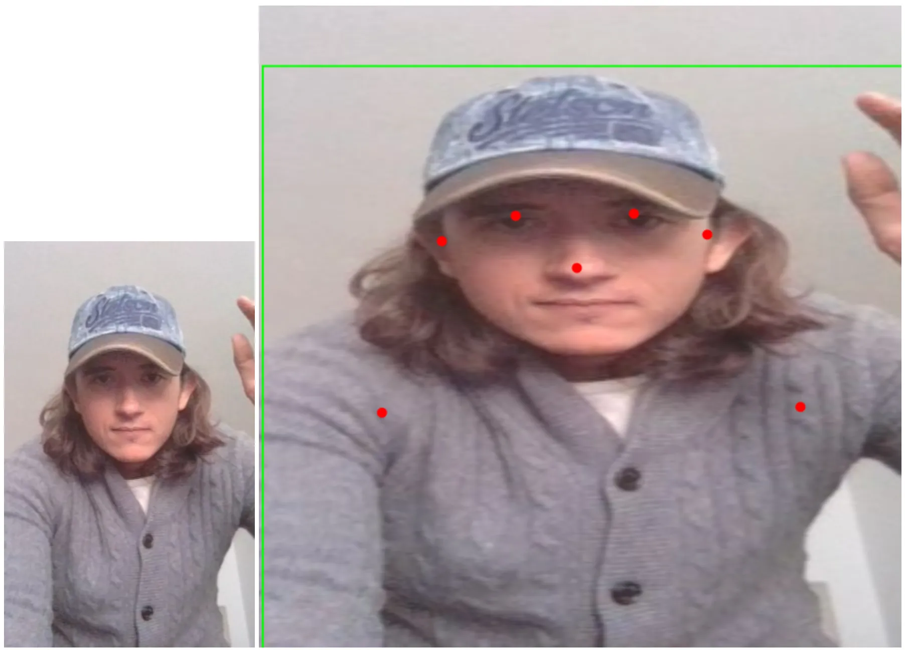 Original image next to stretched image with predictions